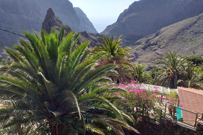 north-tenerifes-mysteries