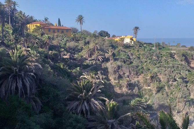 north-tenerifes-mysteries