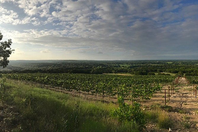 north-texas-wineries-vineyards-tour-tastings-6-person-minimum-2
