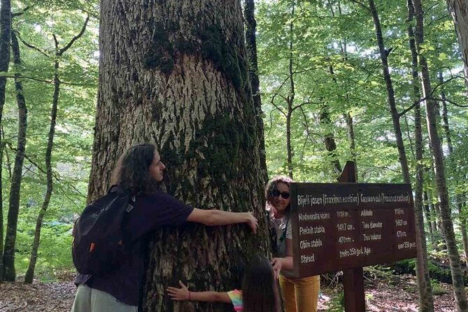 north-tour-np-biograd-gora-lake-moraca-canyon-monastery-kolasin