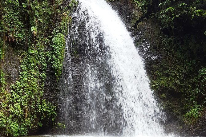 north-tour-rainforest-rum-distillery-black-sand-beach-etc