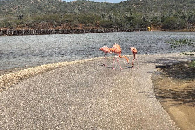 north-tour-with-local-guide