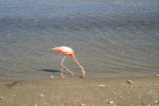 north-tour-with-local-guide