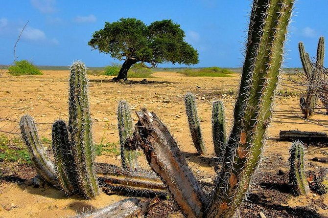 north-tour-with-local-guide