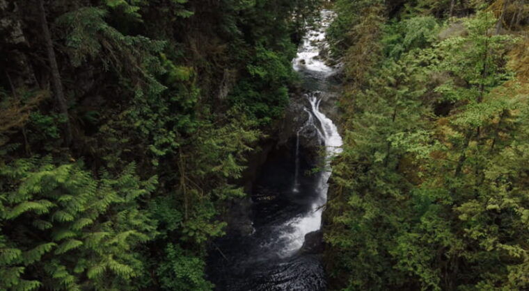 north-vancouver-lynn-canyon-guided-hike