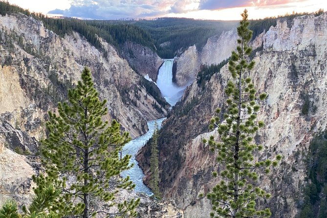 north-yellowstone-day-tour-lamar-valley-private-day-tour-2