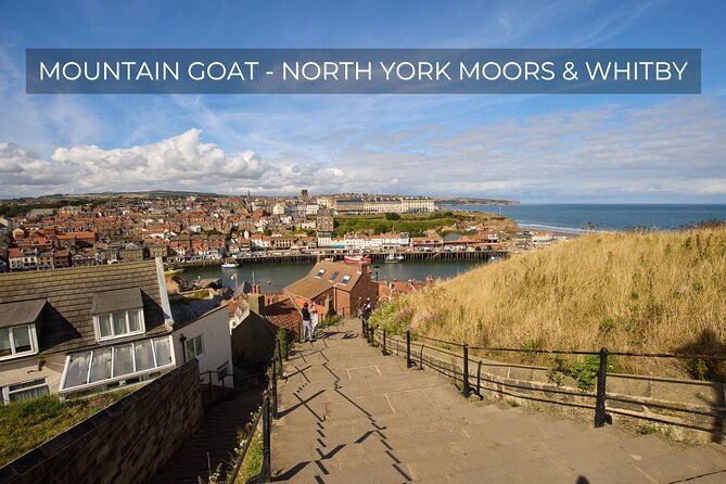 north-york-moors-and-whitby-day-tour-from-york