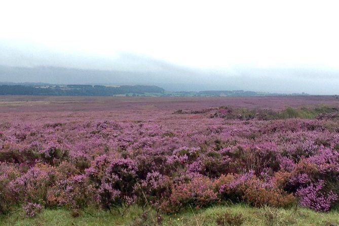 north-york-moors-and-whitby-day-tour-from-york