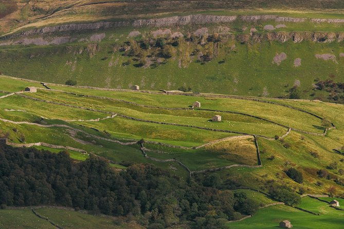 north-york-moors-and-whitby-day-tour-from-york
