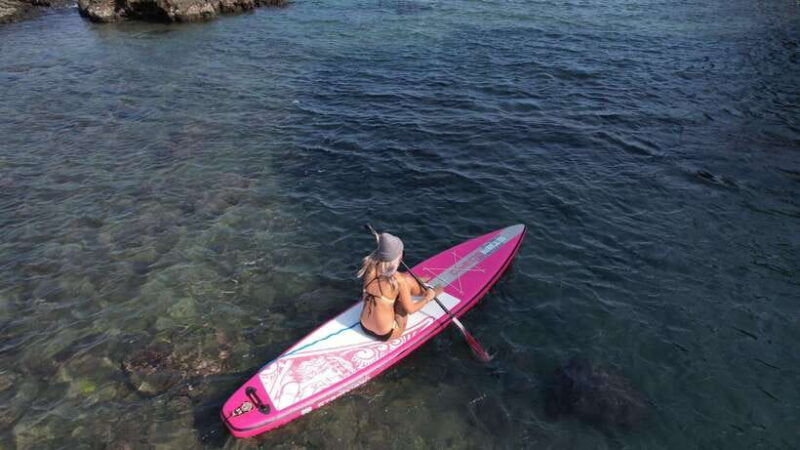 northeast-coast-day-tour-sup-and-spearfishing-picnic