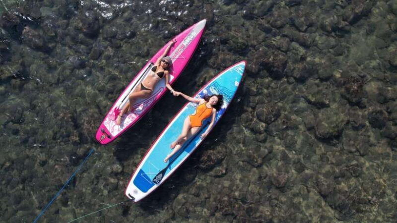 northeast-coast-day-tour-sup-and-spearfishing-picnic