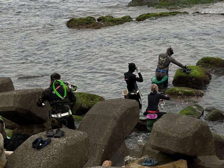 northeast-coast-day-tour-sup-and-spearfishing-picnic
