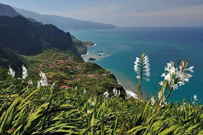 northeast-tour-of-the-island