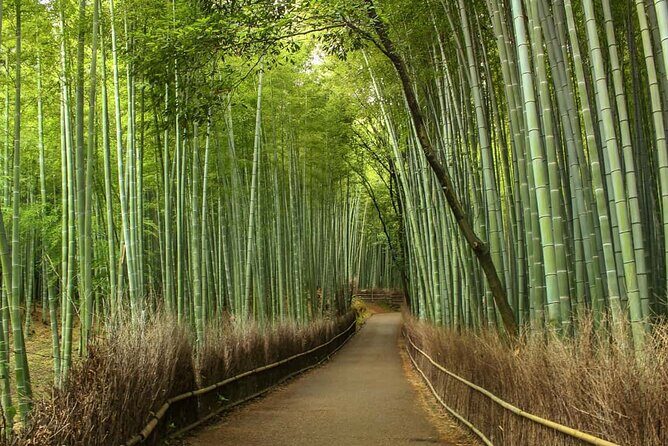 Northern Cebu Adventure Tour - The Itinerary Breakdown