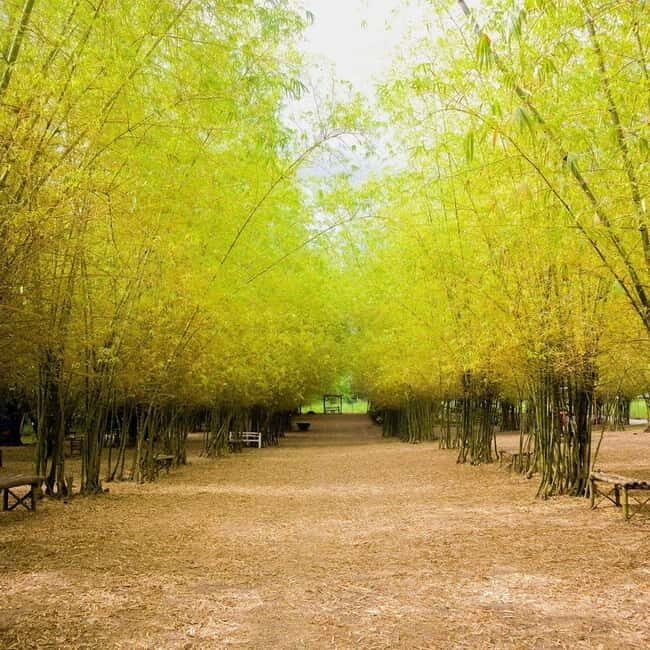 Northern Cebu Adventure Tour - Key Points