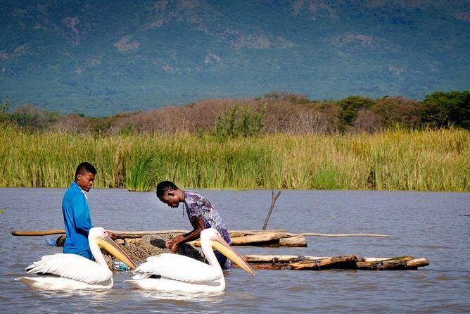 Northern Ethiopia Historic Route - Who Would Love This Tour?
