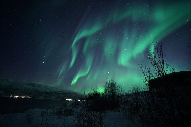 northern-light-chase-with-boat