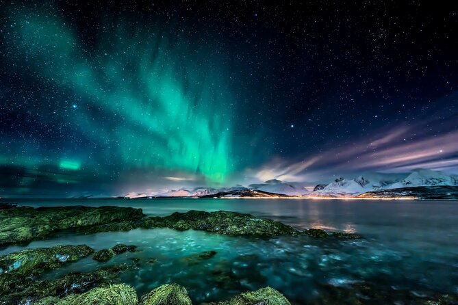 northern-light-hunt-in-tromso-wifi-included