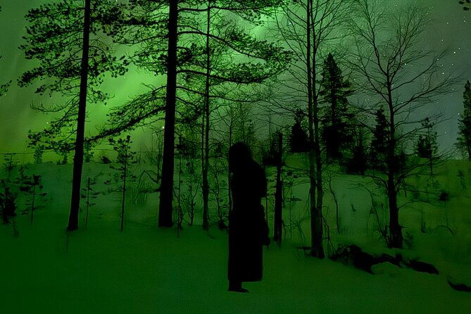 northern-lights-adventure-in-the-wild-with-campfire-treats-2