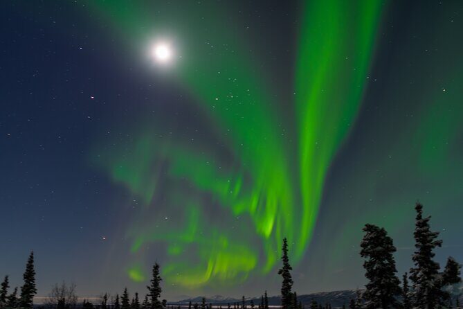 Northern Lights Adventure of a Liftetime from Anchorage - Who Should Book This Tour?