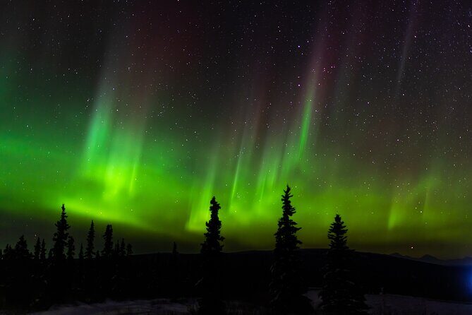 Northern Lights Adventure of a Liftetime from Anchorage - The Sum Up: Is This the Aurora Tour for You?