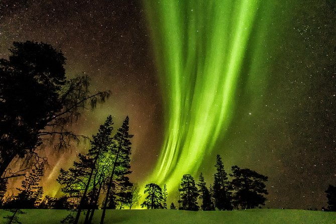 northern-lights-aurora-tour-from-kemi