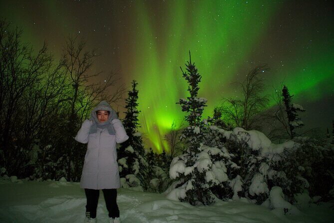 Northern Lights Aurora Tour with FREE Photography - The Value of This Experience
