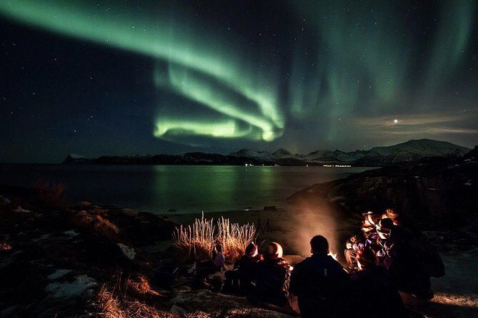 Northern Lights Big Bus Chase with Free Photos - Key Points