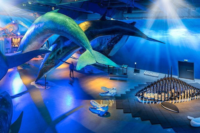 northern-lights-by-boat-with-a-backup-plan-from-reykjavik-2