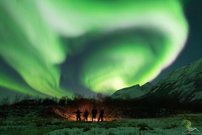 Northern Lights by Minibus. Photos Under the Lights included. Tromso - FAQs