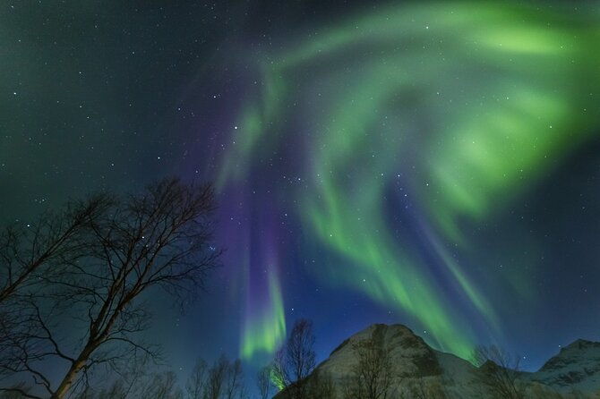 northern-lights-chase-by-bus-in-tromso