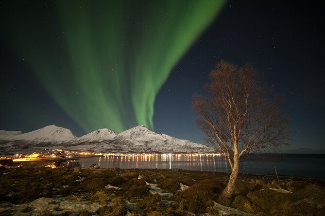 northern-lights-chase-by-bus-in-tromso