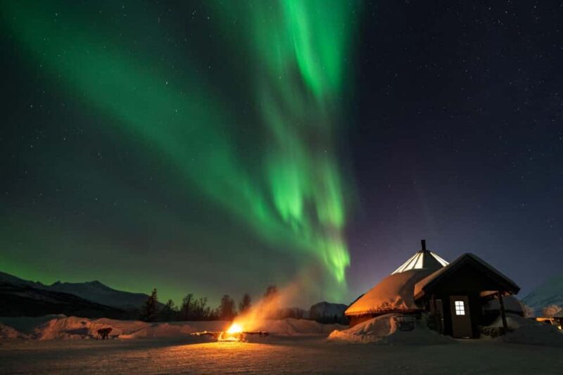 Northern Lights Chase by Minivan with Meal & Photos - What Makes This Tour Stand Out?