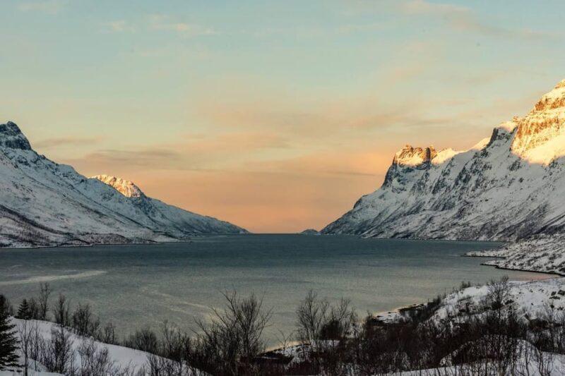 Northern Lights Chase by Minivan with Meal & Photos - Who Is This Tour Best For?