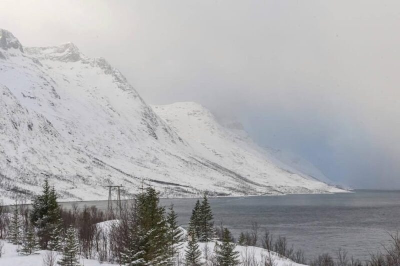 Northern Lights Chase by Minivan with Meal & Photos - FAQ