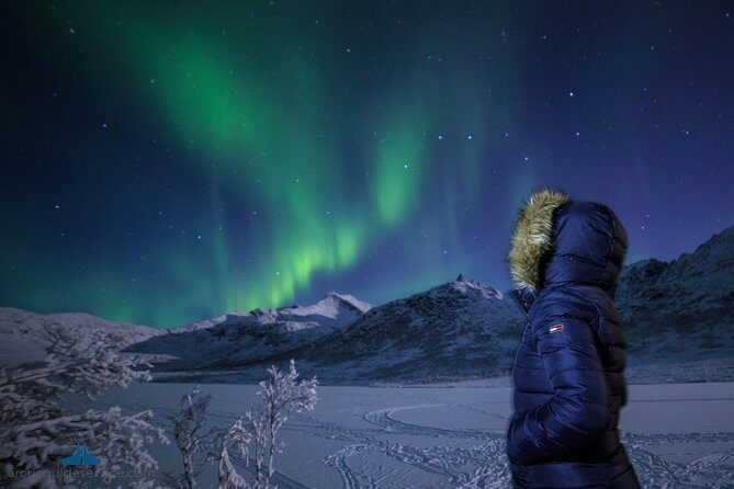 Northern Lights Chase - An Overview of the Tour