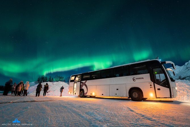 Northern Lights Chase - Who Should Book This Tour?