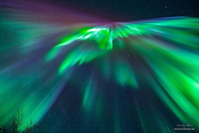 northern-lights-chase-minibus-portraits-toilet-meal-guarantee