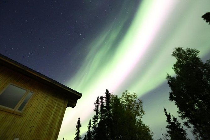 northern-lights-experience-and-cabin-dinner-2