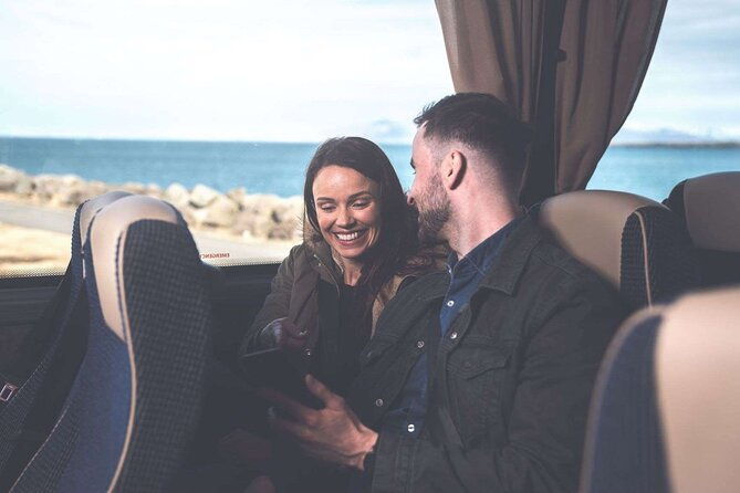 northern-lights-guided-bus-tour-from-reykjavik