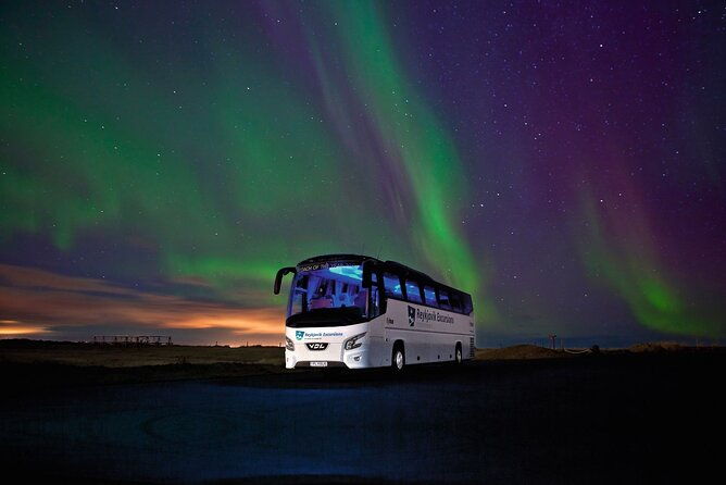 northern-lights-guided-bus-tour-from-reykjavik