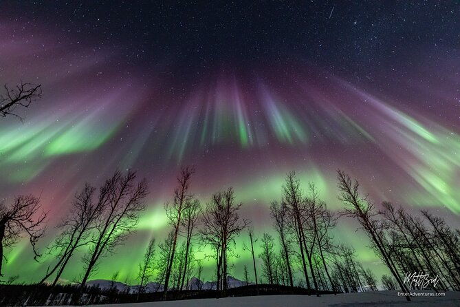 northern-lights-guided-bus-tour-with-snacks-hot-drinks