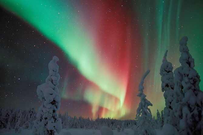 northern-lights-hunt-from-rovaniemi-with-folk-tales-and-snacks-over-campfire