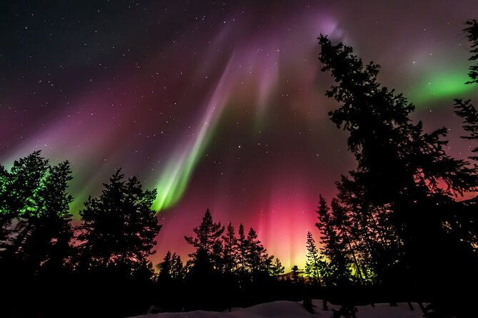 northern-lights-hunt-from-rovaniemi-with-folk-tales-and-snacks-over-campfire