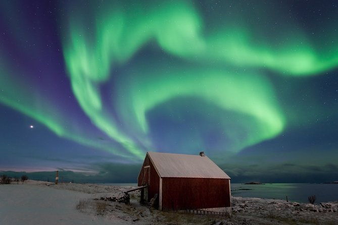 northern-lights-hunt-including-snacks-on-campfire-from-rovaniemi