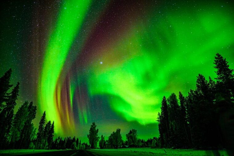 northern-lights-hunting-adventure-in-lapland-3