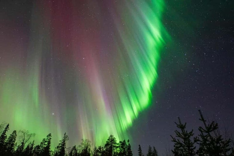 Northern Lights Hunting and Photography Tour - Small Group - An Honest Look at the Tour Experience