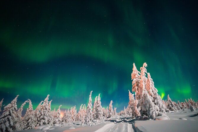 northern-lights-hunting-of-rovaniemi