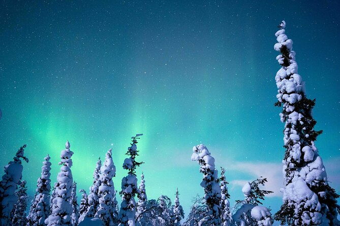 northern-lights-hunting-photography-tour-in-levi