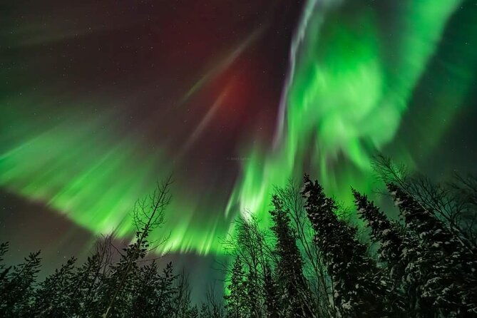 northern-lights-hunting-tour-rovaniemi